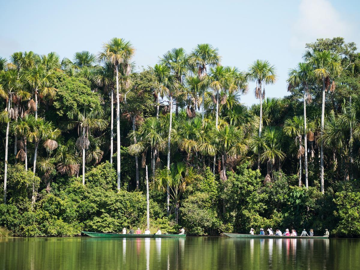 Вилла Inkaterra Hacienda Concepcion Пуэрто-Мальдонадо Экстерьер фото